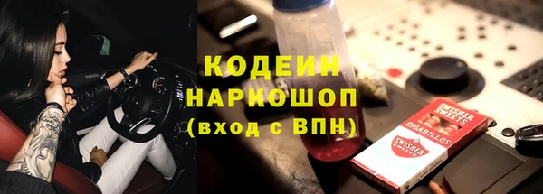 спиды Бородино