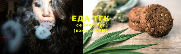 спиды Бородино