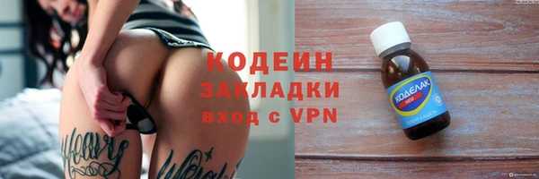 спиды Бородино