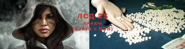 спиды Бородино