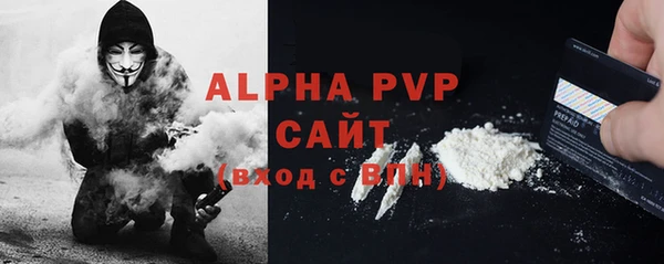 спиды Бородино