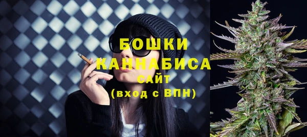 спиды Бородино