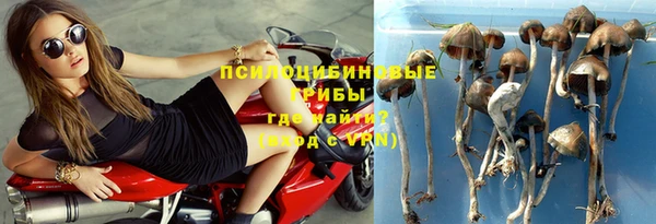 тгк Бронницы